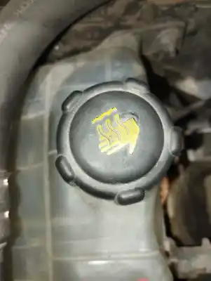 Автозапчастина б/у розширення депозит для renault scenic iii grand dynamique посилання на oem iam 217100005r  