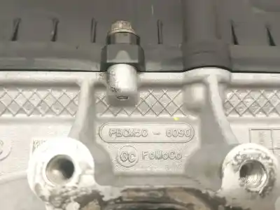 Peça sobressalente para automóvel em segunda mão cabeça / culatra por ford focus lim. (cb8) trend referências oem iam pbcm5c6090  