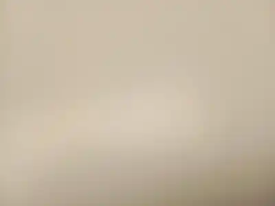 Pezzo di ricambio per auto di seconda mano controllo della luce per nissan leaf n-connecta riferimenti oem iam 255605sh0a  