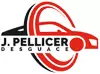 Acceder a la tienda de DESGUACE PELLICER